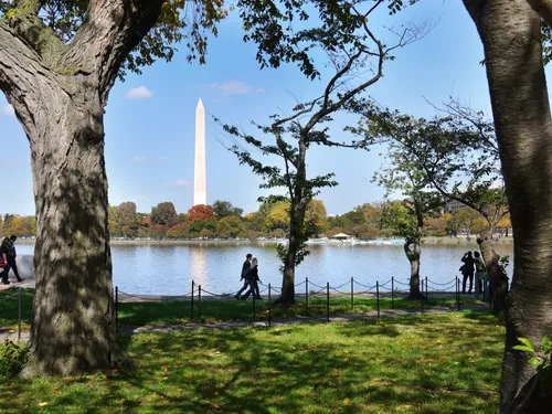 View of the Washington Monument rising in the distance