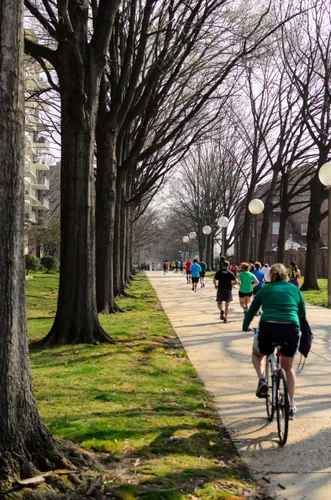 Runners make their way along the path during a marathon