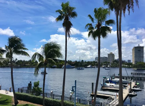 Palm trees line the waterfront along the park