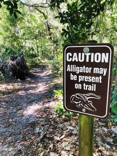 Warning sign alerts hikers to possible alligators on the trail