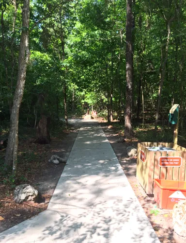 Paved pathway leads visitors into the shaded forest trail
