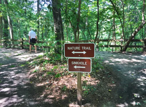 Signs marking the trails through the park