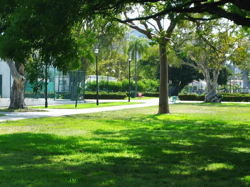 Sunlight dapples across green lawns and shade trees