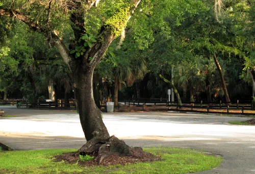 One of several parking areas