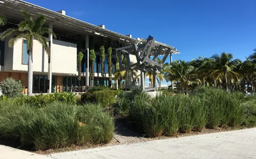 Palm trees and native grasses frame the Pérez Art Museum
