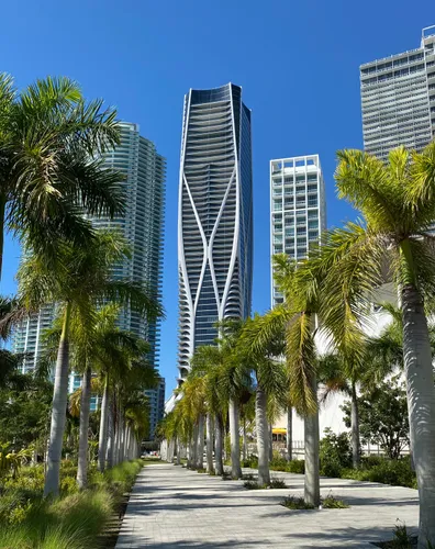 Palm-lined walkway with One Thousand Museum tower visible in the skyline