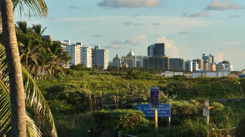 Lush vegetation with distant Miami skyline