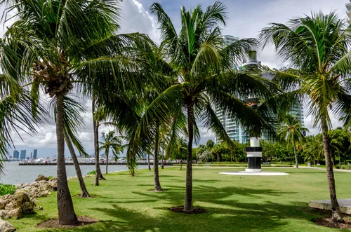 Manicured green lawn dotted with swaying trees