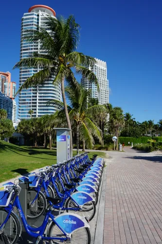Bike sharing station in the park's east section