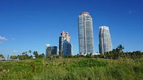 Miami's modern skyscrapers visible beyond grassy park terrain