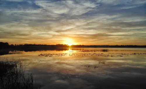 Golden sunset reflects across the calm waters of Turkey Lake