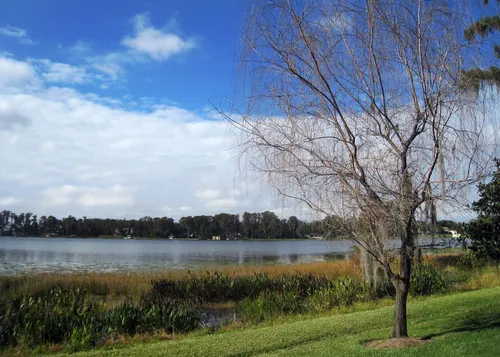 Serene view of Lake Jessamine's shoreline on a clear day