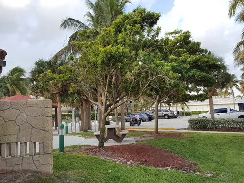 A small green space near the parking lot and playground