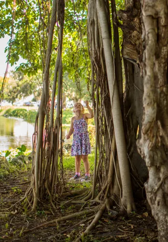 Girl next to the massive roots of a banyan tree