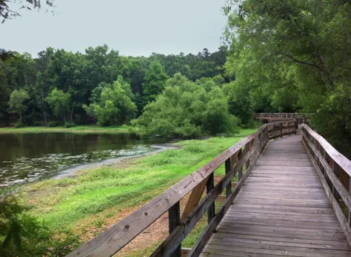 A wooden boardwalk runs alongside Lake Esther's east edge