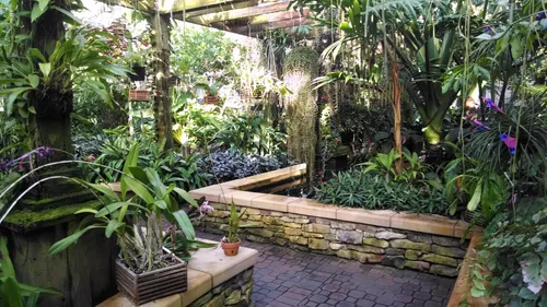 Lush garden pathway with tropical foliage