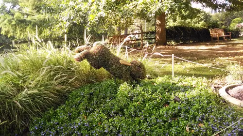 Garden landscape with native grasses