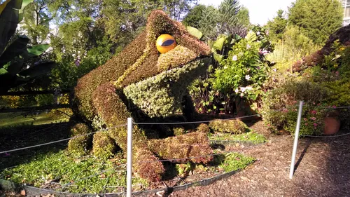 Sculptural planting bed with an adorable frog