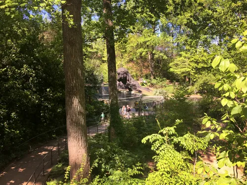 Sunlight filters through the forest canopy along a tranquil garden path