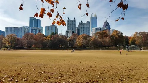 Open meadow view with Atlanta skyline visible through autumn leaves
