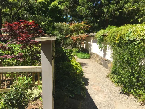 Sunlit gravel path leads along a plant-covered wall