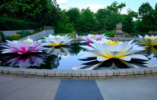 Gigantic water lilies in the pond