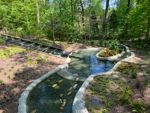 Stream bed with carefully placed stones creates a woodland water feature