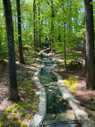 Winding stream cuts through the forest floor in a shaded woodland area