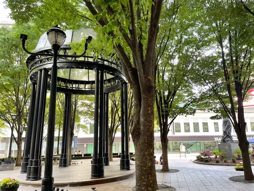Black gazebo structure under the tree canopy