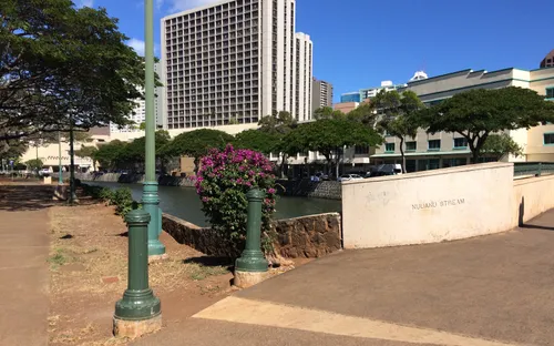 Nuʻuanu Stream flows gently along the park