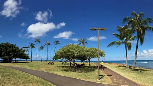 Pathways offer scenic routes through the park