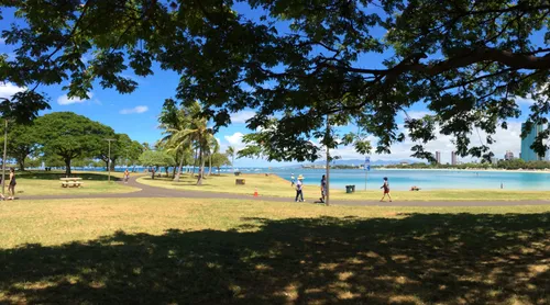 Shady trees provide respite from the sun near the water
