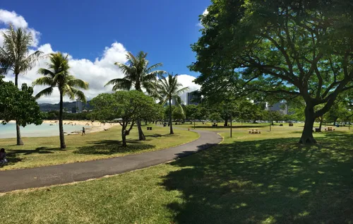 Grassy area with scattered trees