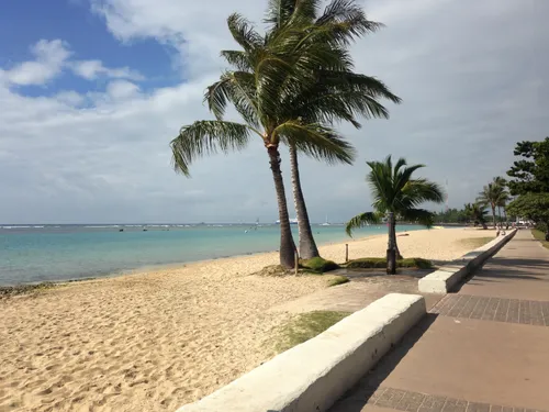 Pristine white sand beach bordered by graceful palm trees