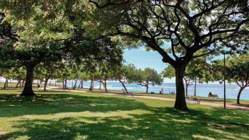 Sprawling trees provide shade throughout this grassy area