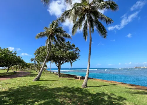 Coconut palms dot the green fields aong the waterfront