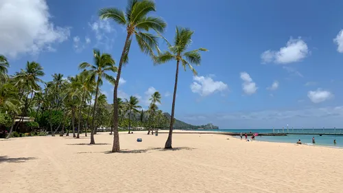 Palm trees on the park's white beach sands