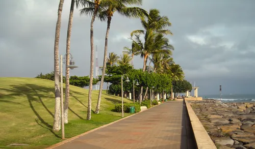 Palm trees frame the waterfront promenade