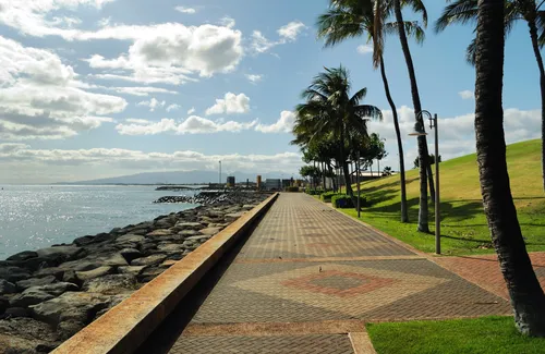 The brick-paved walking path lined with palms and lamp posts