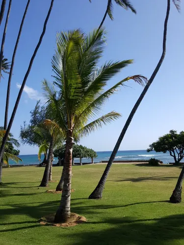The small park offers beautiful ocean views