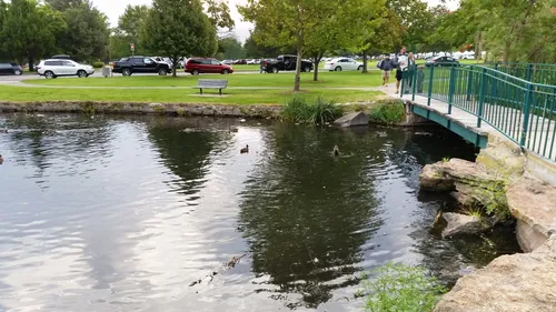 Small bridge crosses the pond