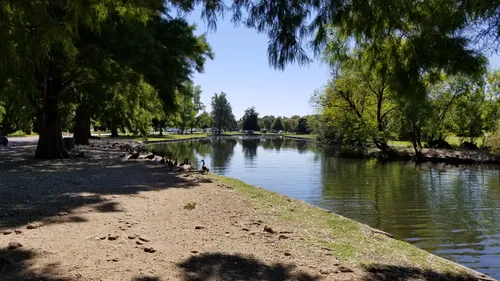 Quiet shoreline retreat along the water's edge