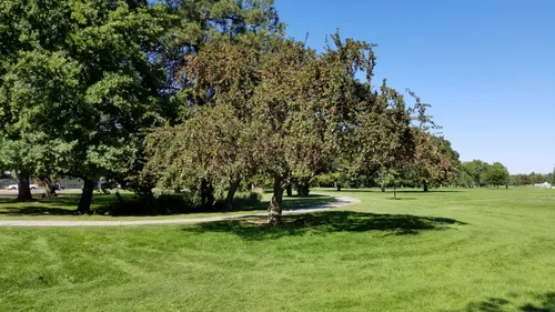 Expansive green lawn creates open recreational space