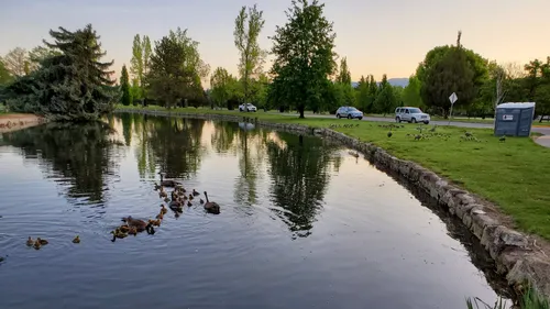 Evening in the park