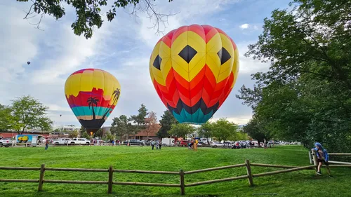 Colorful hot air balloons prepare for morning launch