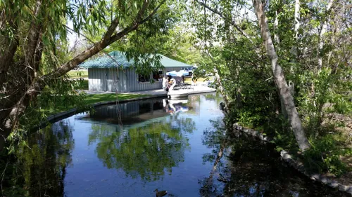 Shaded waterway near the boat rental