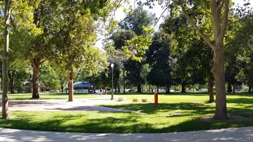 Open grassy area with trees on the park grounds