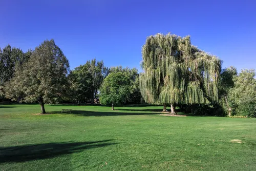 Expansive lawn area with trees creating natural shade