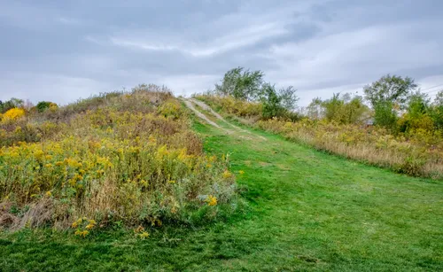 A grassy hillside trail winds through wildflowers