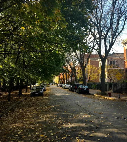 Tree-lined West Lexington Street marks the northern edge of the park
